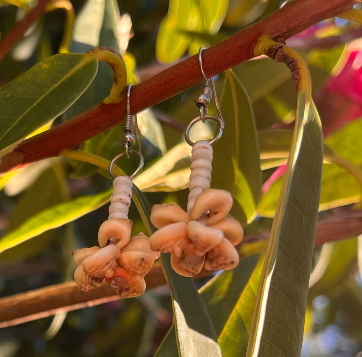 Shell Money Drop Earrings  |  Solomon Ware